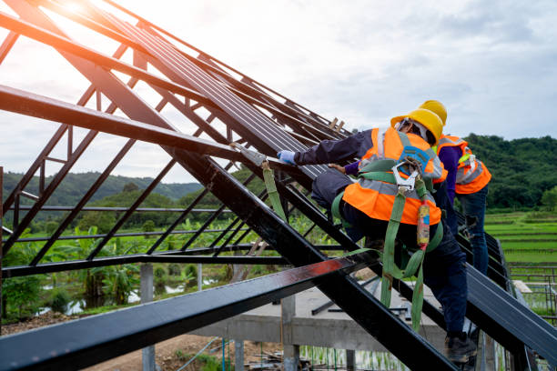 Best New Roof Installation  in Newark, NY