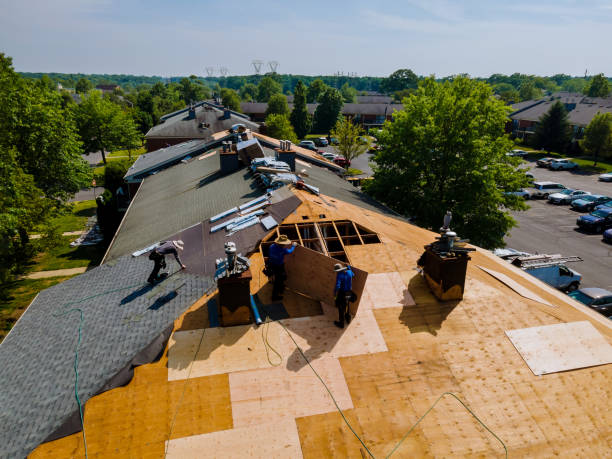 Roof Gutter Cleaning in Newark, NY