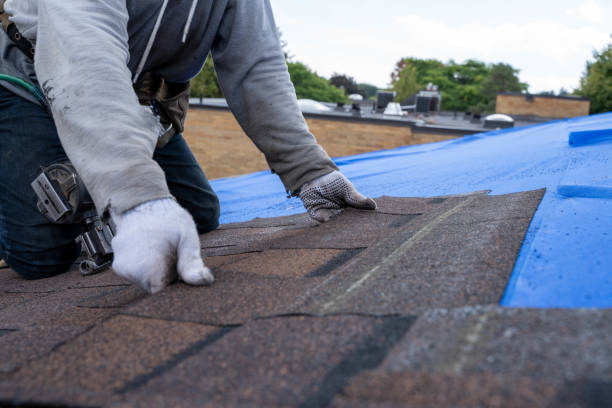 Best Roof Gutter Cleaning  in Newark, NY