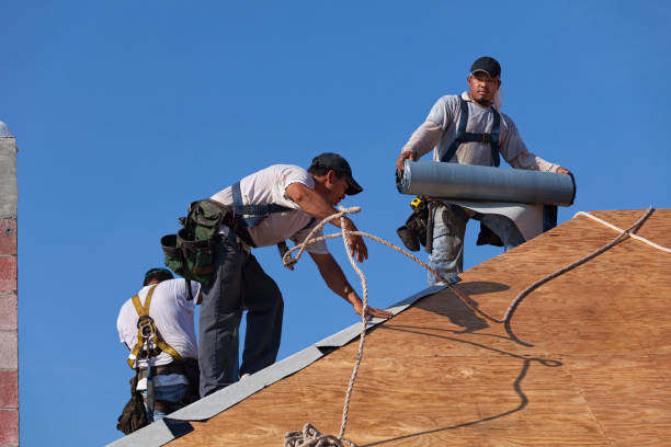 Best Residential Roof Replacement  in Newark, NY