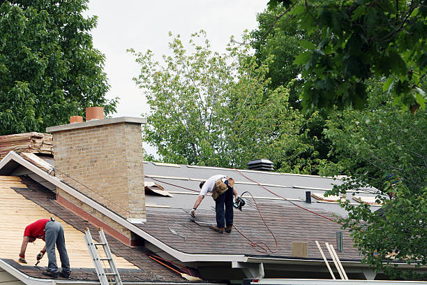 Best Storm Damage Roof Repair  in Newark, NY