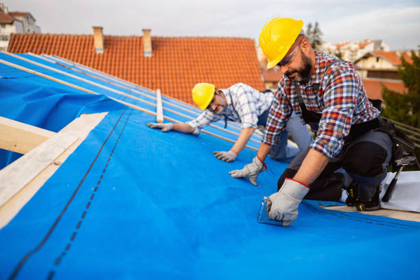 Best Roof Restoration Services  in Newark, NY