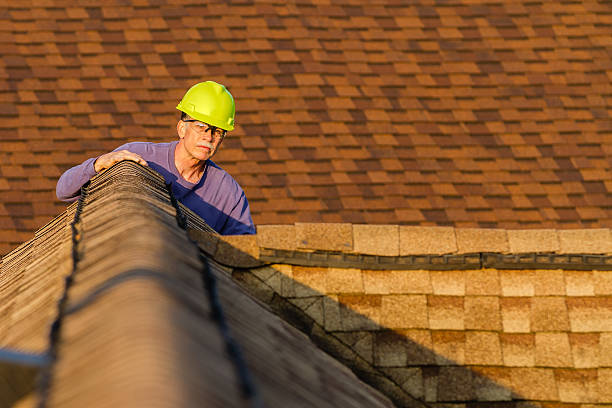 Best Storm Damage Roof Repair  in Newark, NY